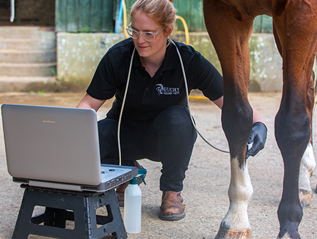 Medical Investigations